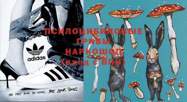 стафф Алзамай