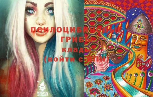 PSILOCYBIN Алексеевка