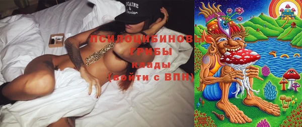 PSILOCYBIN Алексеевка