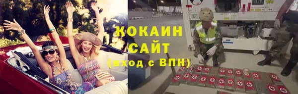 кокс Алексин